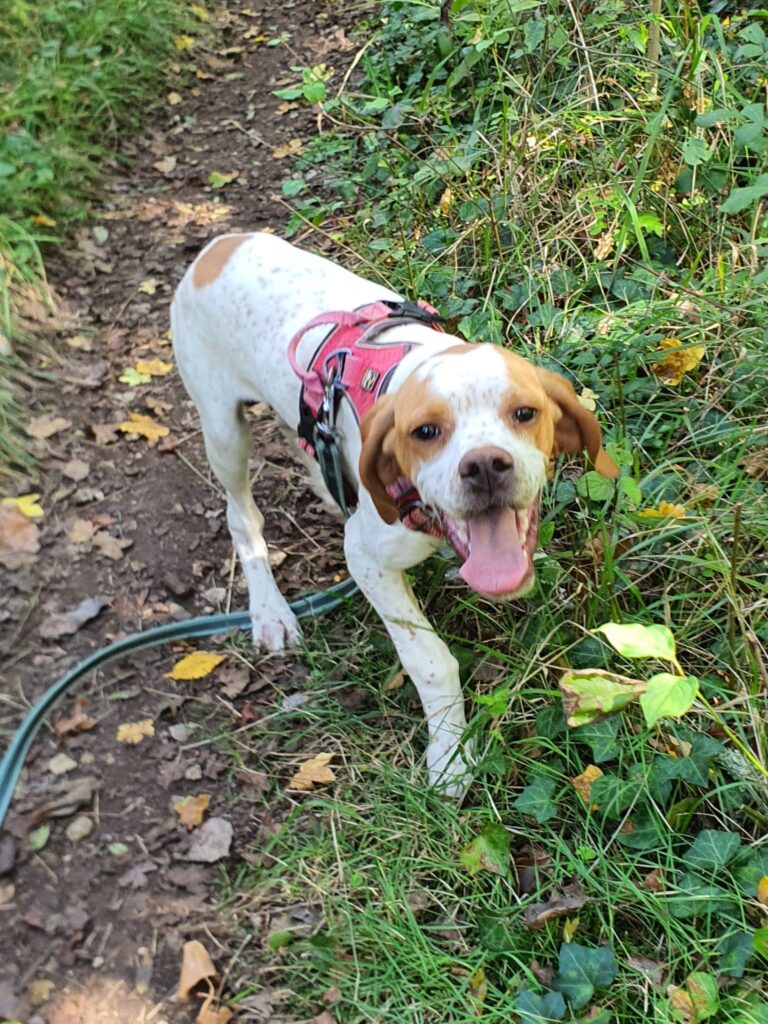 whatsapp image 2025 10 08 at 18.46.07 (1)