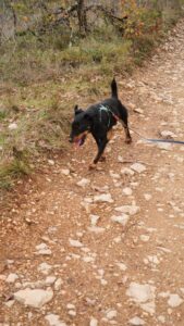 whatsapp image 2025 11 30 at 19.22.04 (1)