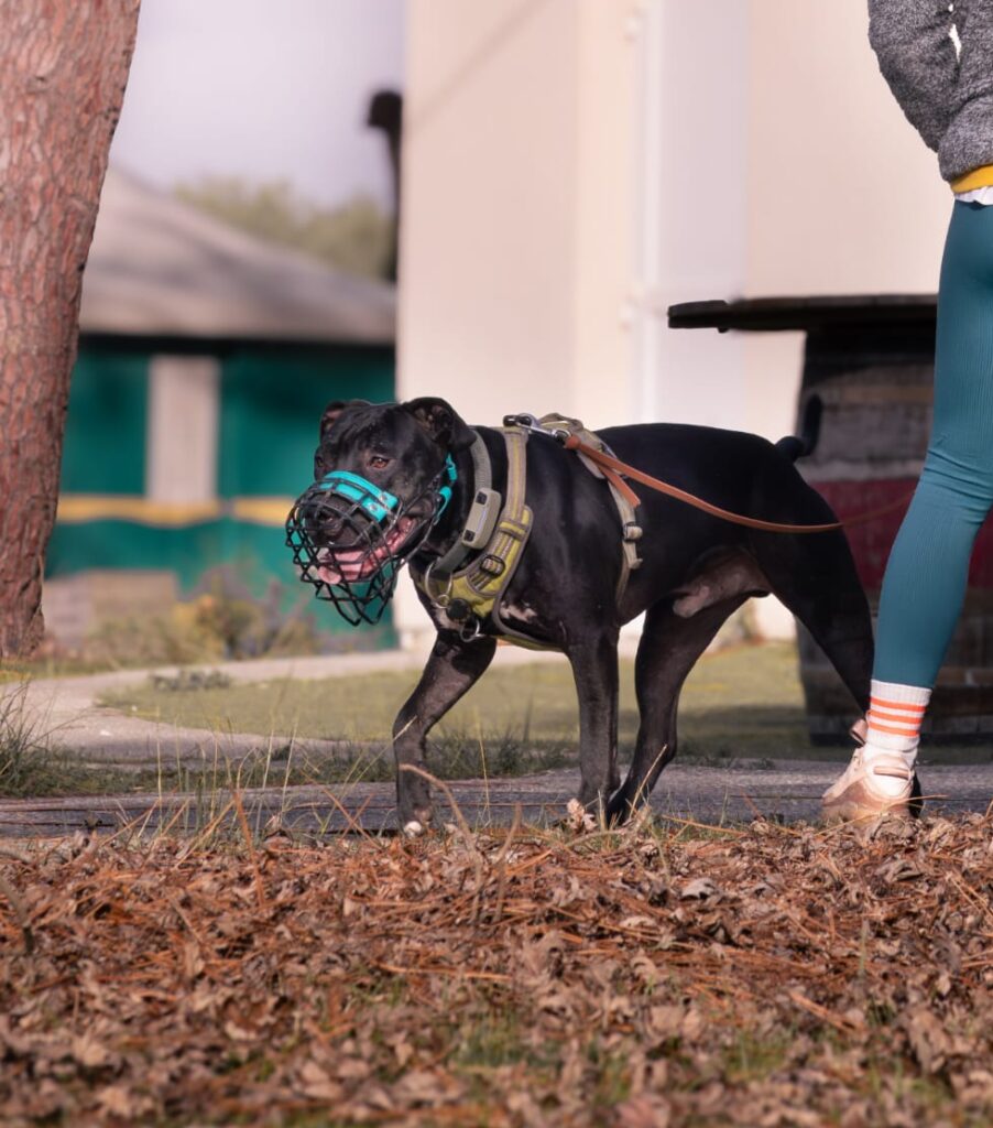 whatsapp image 2026 01 07 at 04.26.47