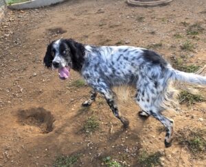 hutch 3